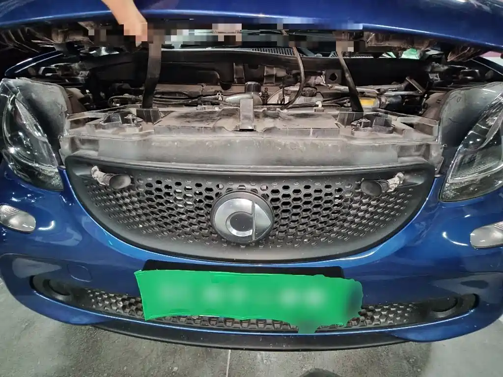 Фото 21 - smart forfour