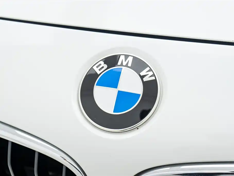 BMW 3 Series GT 2016 320i Fashion Style фото 9