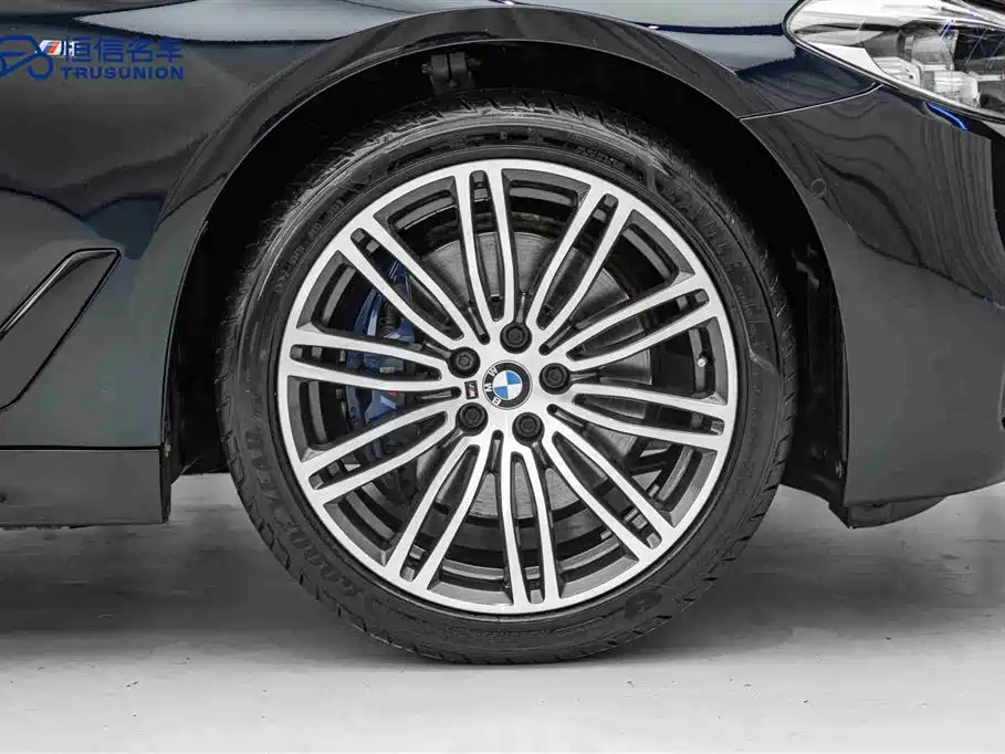 BMW 5 Series (Import) 2019 530i M Sport Package фото 11