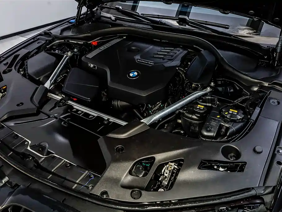 BMW 5 Series 2022 Model Second Facelift 530Li Leading M Sport Package фото 33