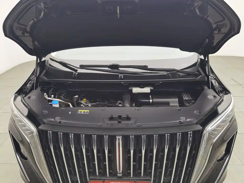 Photo 6 - Hongqi HQ9