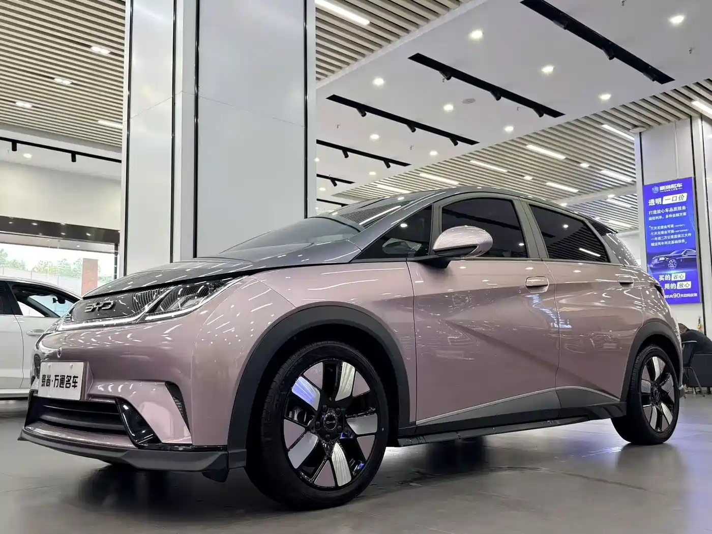 BYD Dolphin 2023 — пригон из Китая