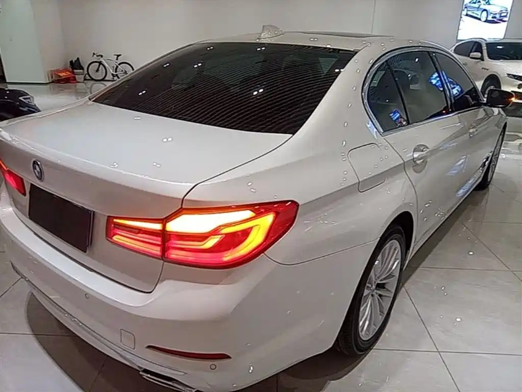 BMW 5 Series 2018 Facelift 530Li Leading Luxury Package фото 7