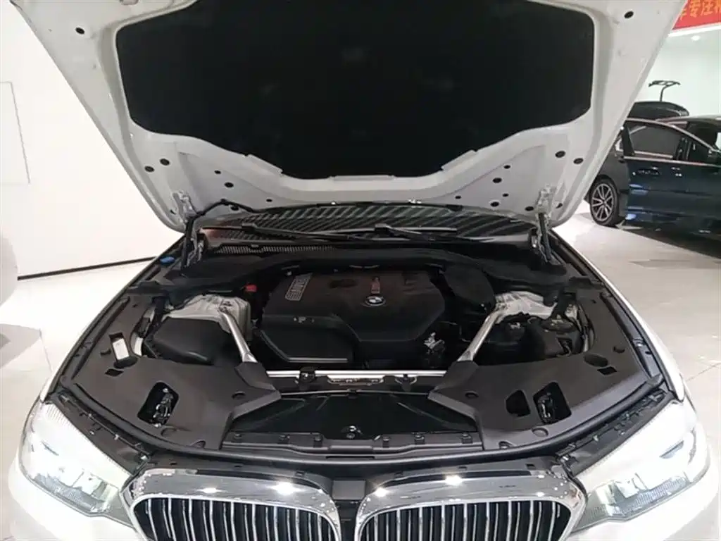 BMW 5 Series 2018 Facelift 530Li Leading Luxury Package фото 20
