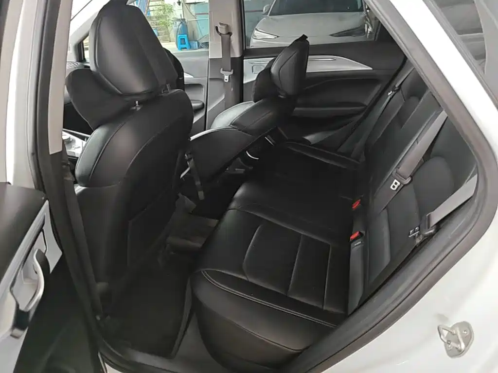 Geely Geometry C 2023 2022 Grape C550