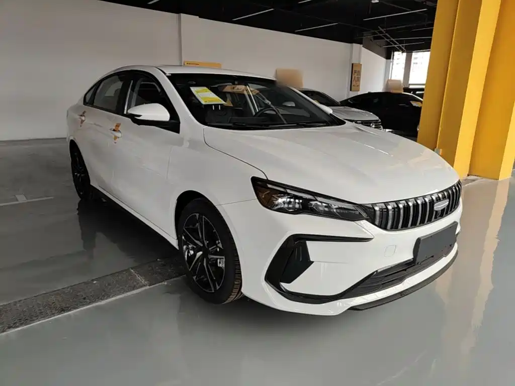 Фото 4 - Geely Binrui