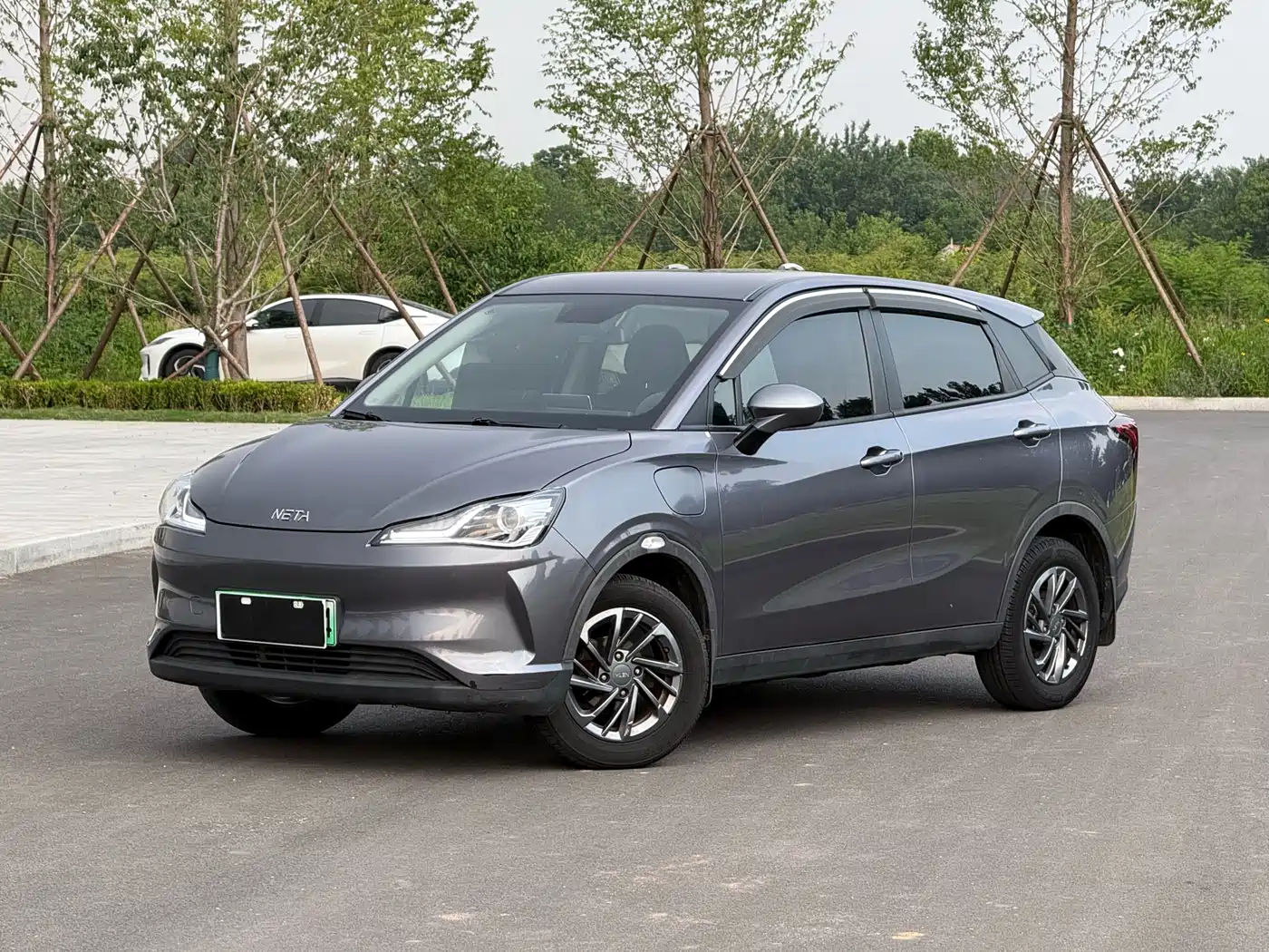 Nezha Auto Nezha V 2022 Tide 300 Lite Ternary Lithium
