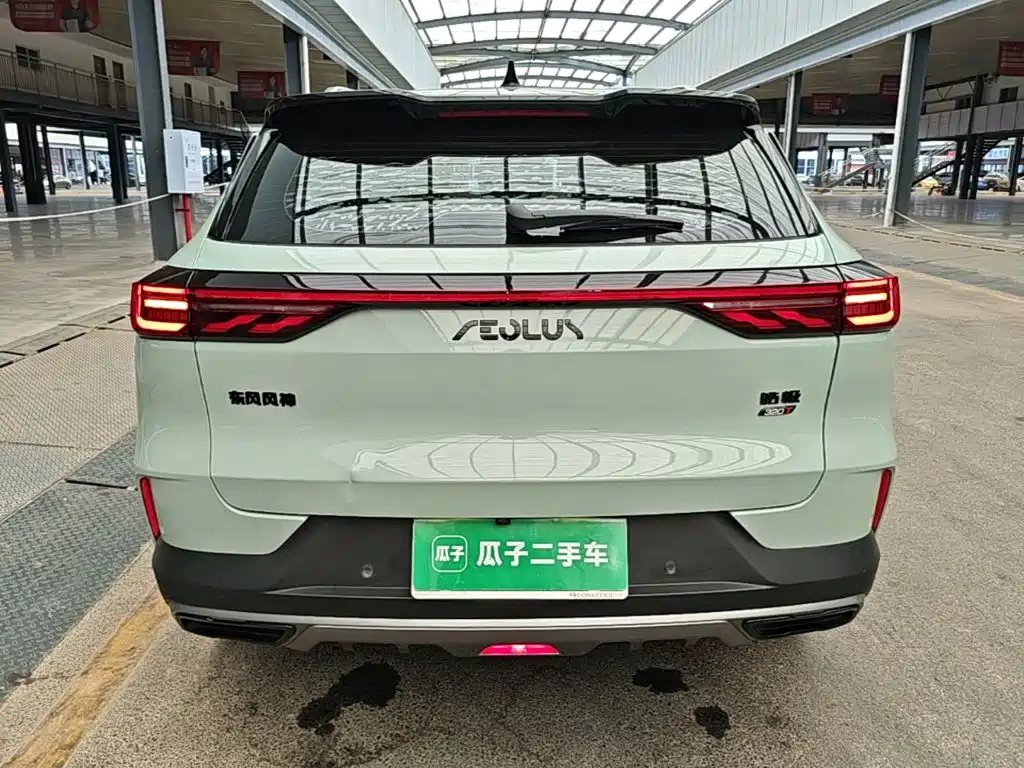 Фото 6 - Dongfeng Aeolus Haoji