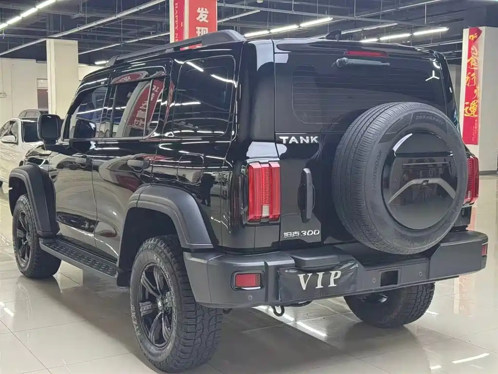 Tank 300 2021 Off-road Version 2.0T Conqueror фото 9