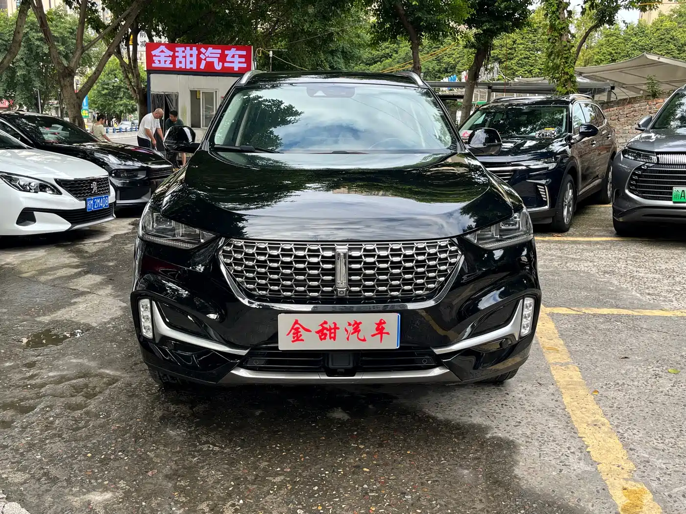 2021 WEY VV6