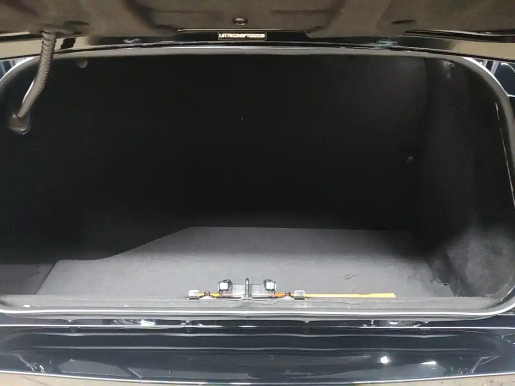 LEVC TX 2024 2023 TX5 Extended Range Travel Edition