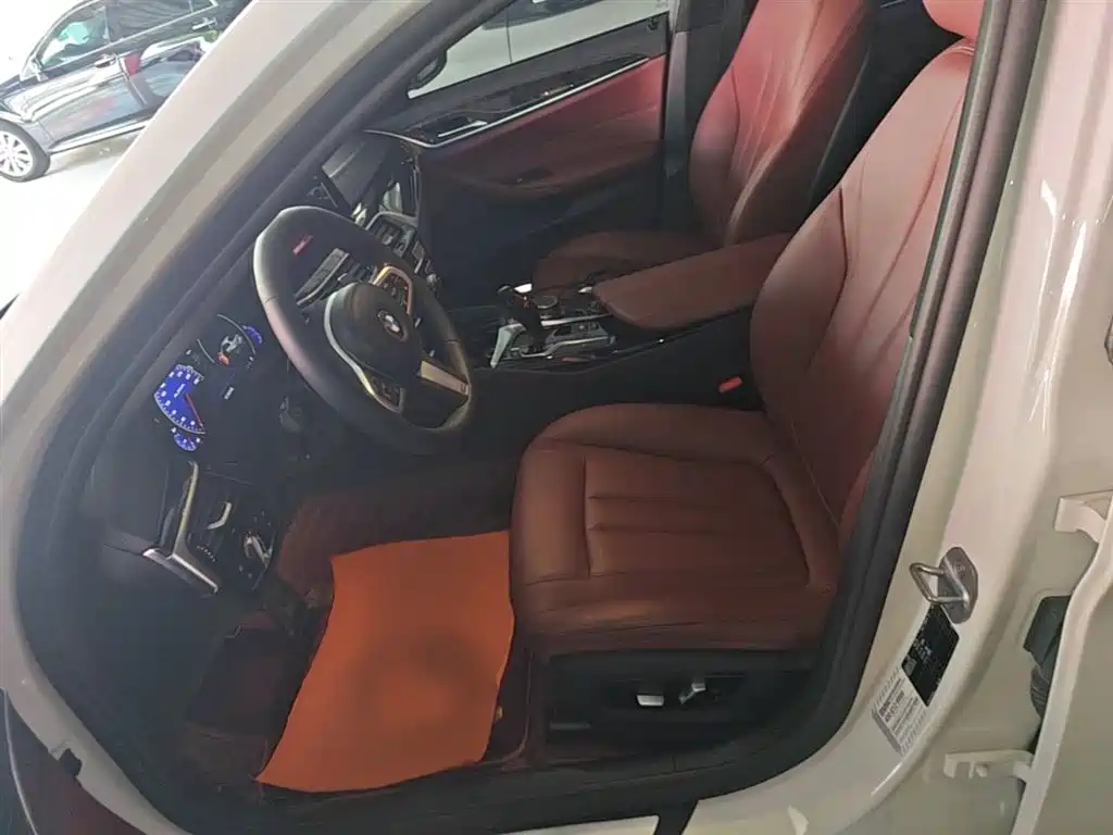 BMW 5 Series 2019 530Li Leading M Sport Package фото 15