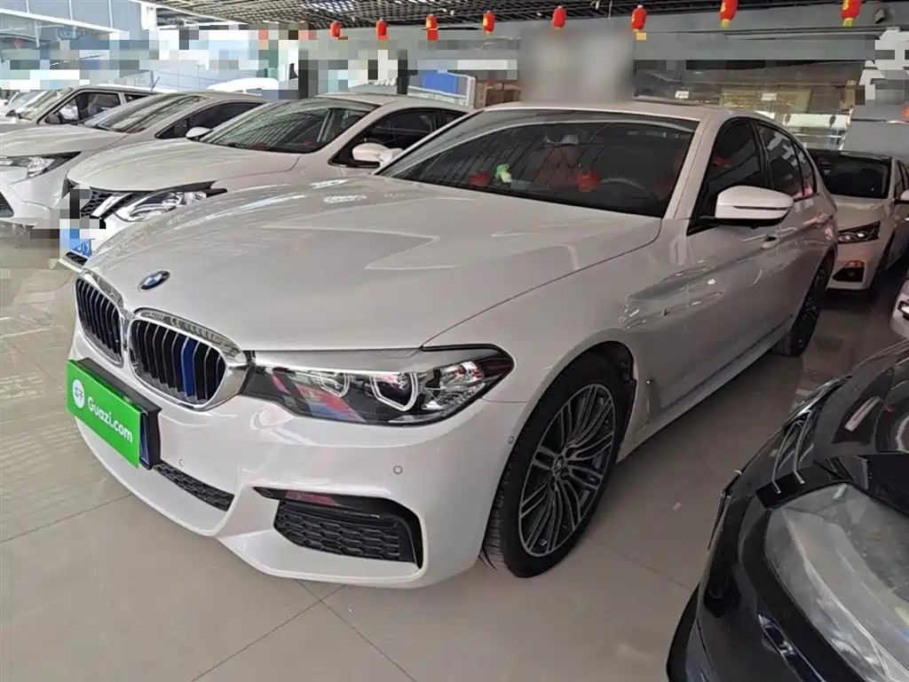 BMW 5 Series 2019 530Li Leading M Sport Package