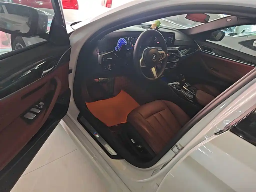 BMW 5 Series 2019 530Li Leading M Sport Package фото 16