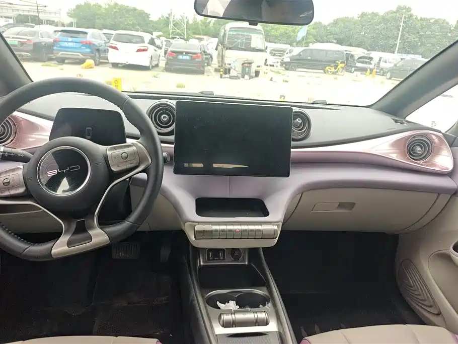 BYD Dolphin 2021 Model 405km Fashion Edition фото 13