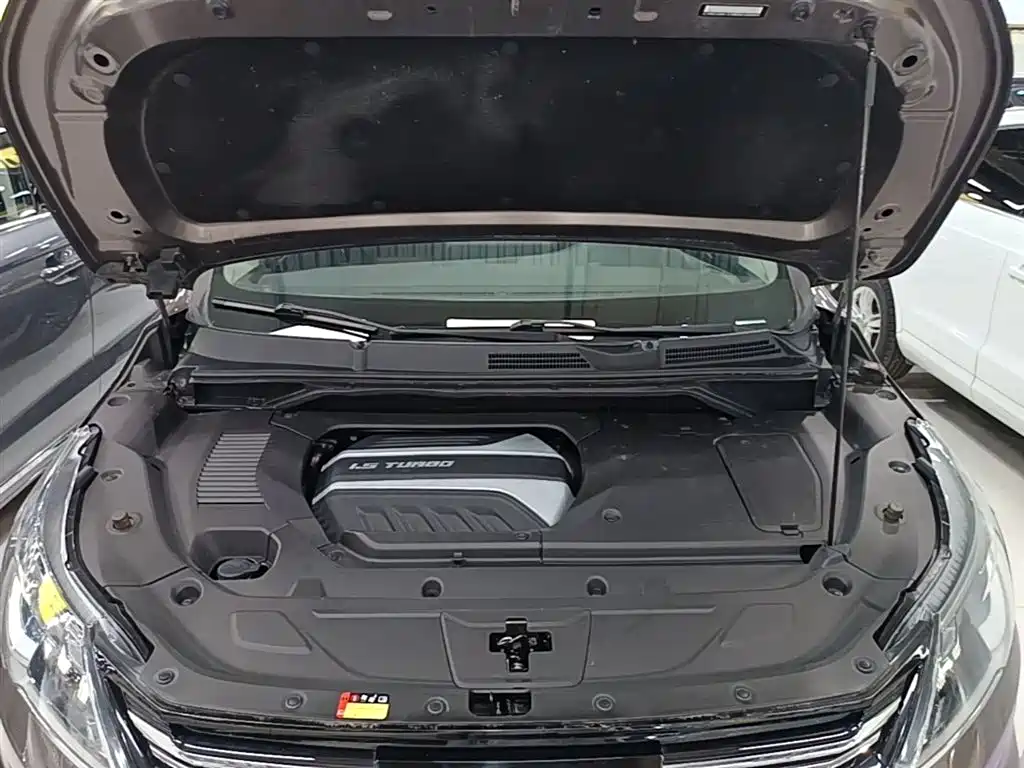 SAIC Maxus Maxus G50 2019 1.5T First Edition Automatic Luxury 6-Seater фото 20