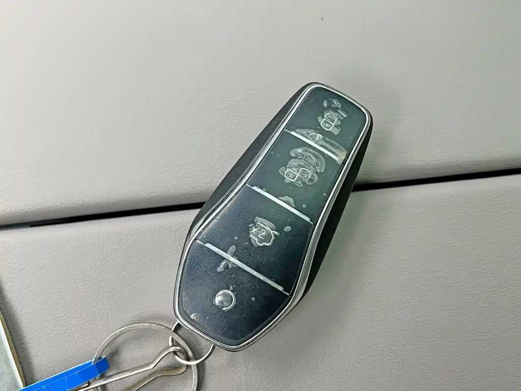 صورة 21 - BYD Tang New Energy