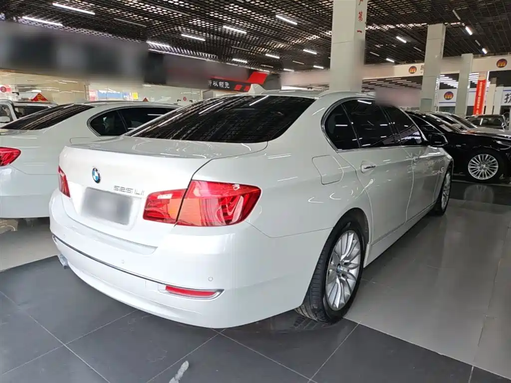 BMW 5 Series 2014 525Li Luxury Design Package фото 7