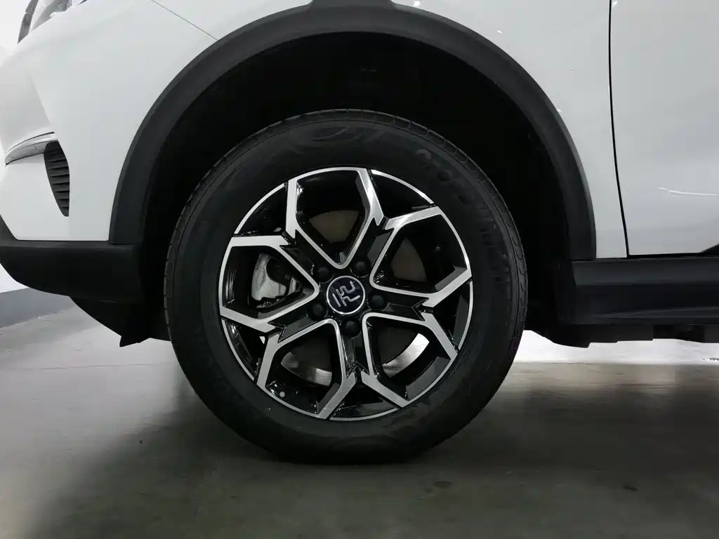 BYD Yuan Pro 2024 2023 401KM Luxury