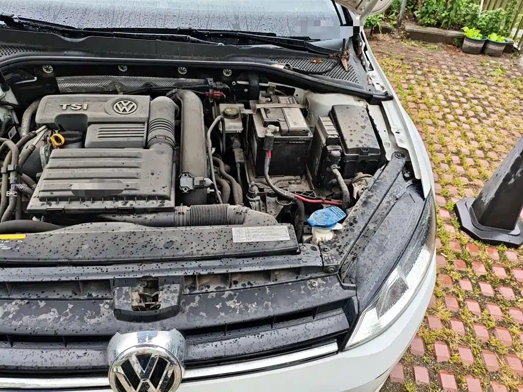 Volkswagen Golf 2017 230TSI Auto Comfort Millionth Anniversary Edition фото 23