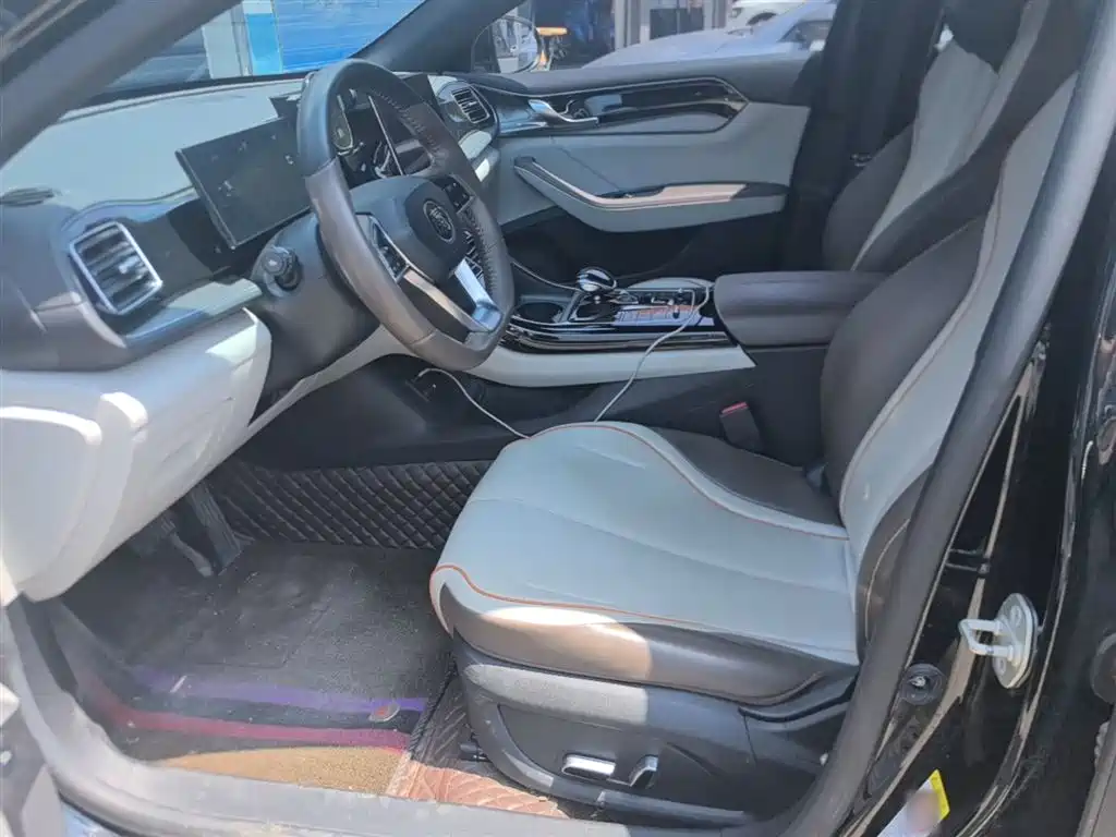 BYD Qin PLUS 2023 Champion Edition DM-i 55KM Surpassing фото 15