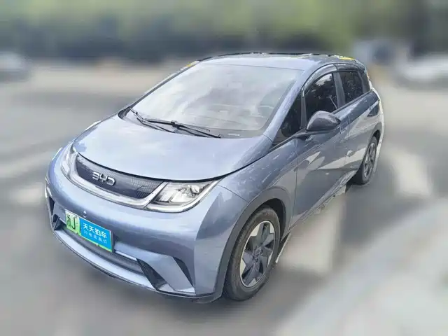 BYD Dolphin 2024 Glory Edition 420km Freedom Edition — фото 1