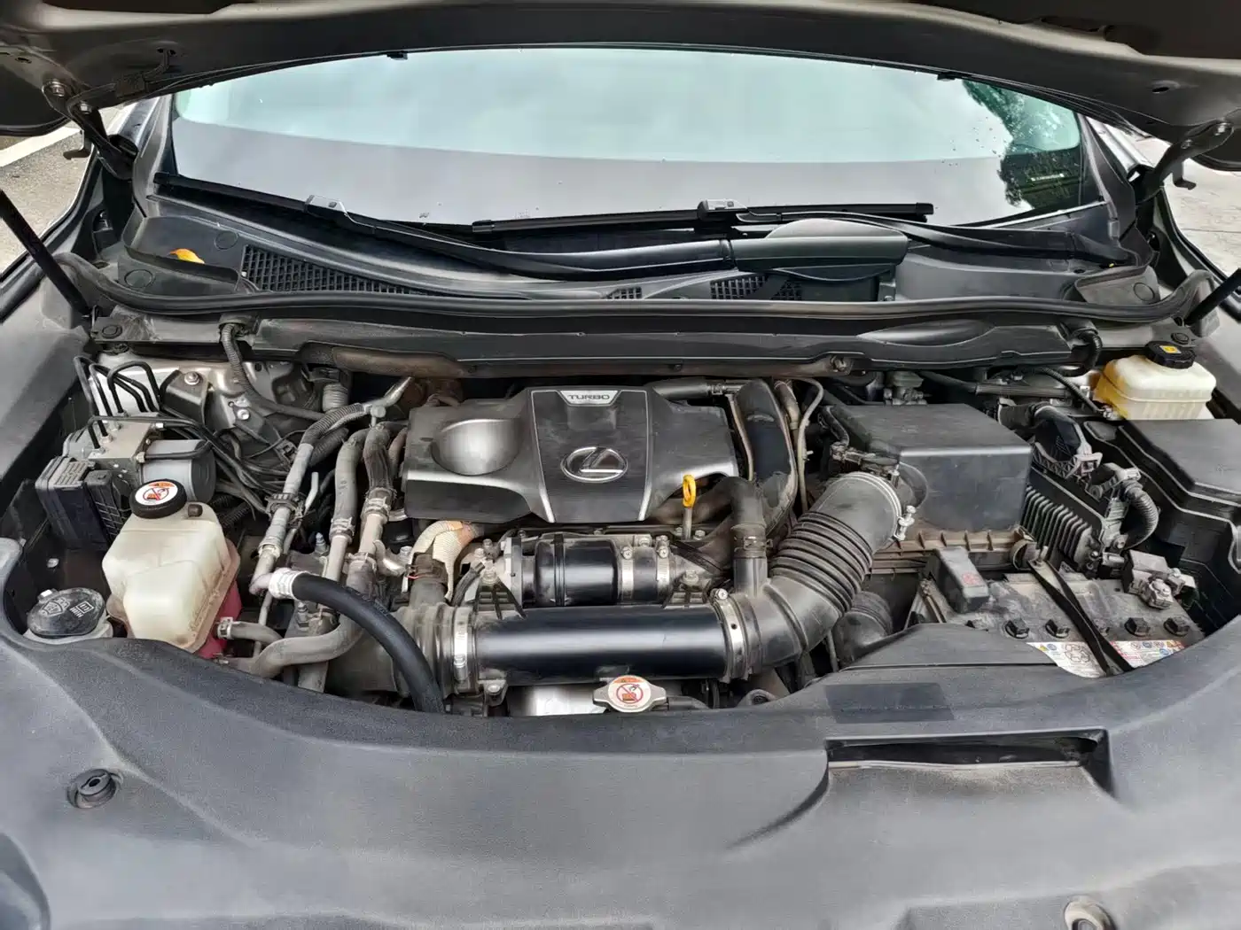 Photo 11 - Lexus RX