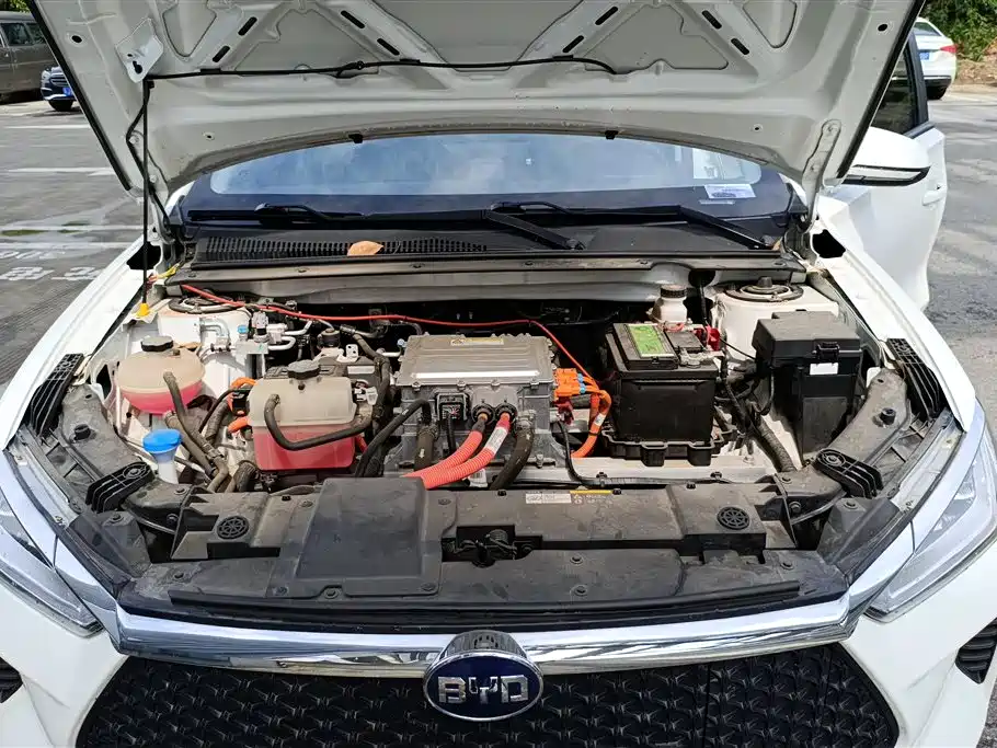 BYD e2 2020 Upgrade Standard Range Standard Model фото 10