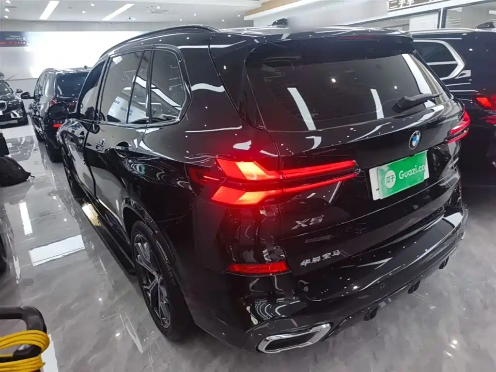 BMW X5 2023 xDrive 30Li Premium M Sport Black Night Package фото 5