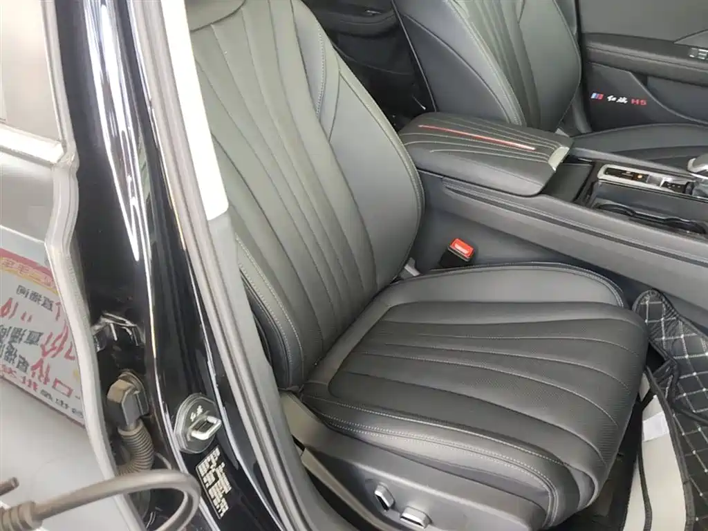 Hongqi H5 2025 1.5T DCT Flag Rhythm 500,000 Units Memorial Edition фото 25