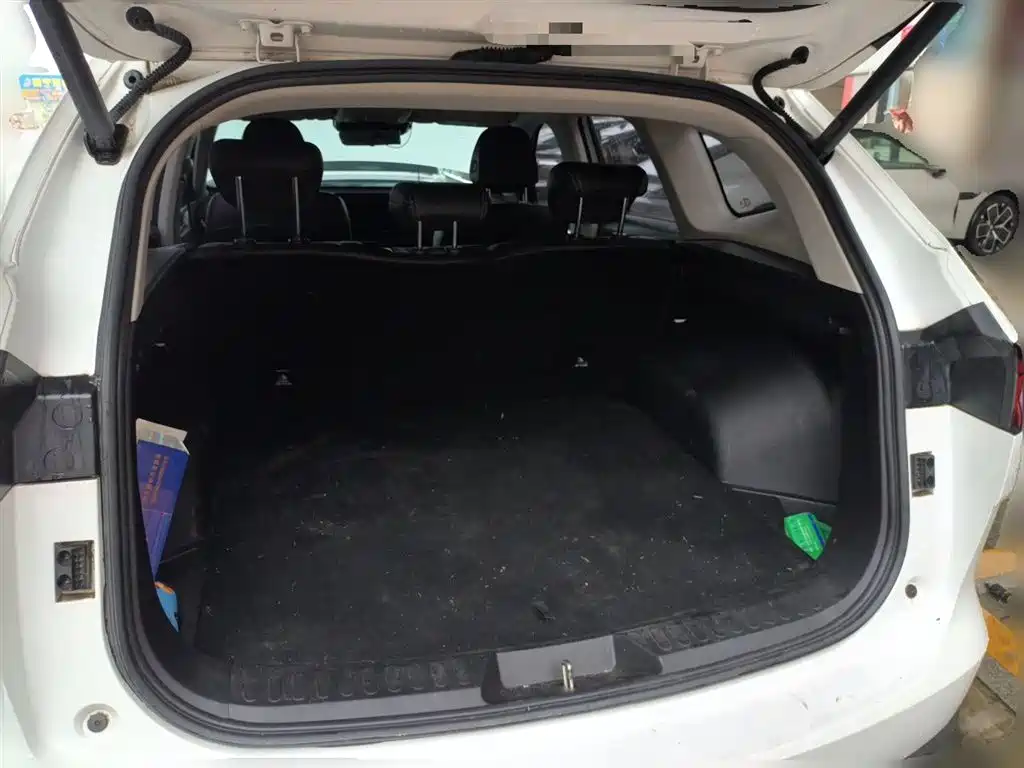 Haval H6 2021 3rd Generation 2.0T Auto 2WD Max фото 16