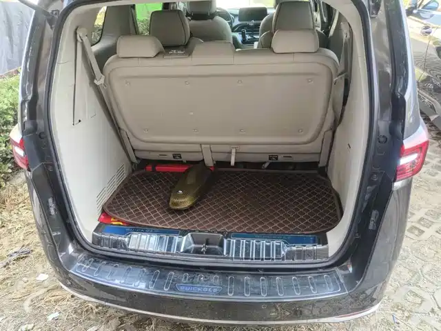 Buick GL8 2020 Model Land Business Class 652T Luxury — фото 5