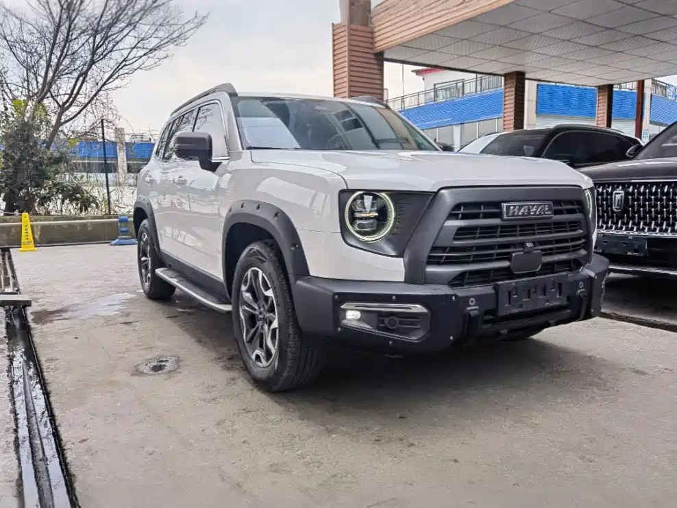 Haval Big Dog 2022 2.0T DCT 4WD Chinese Rural Dog Hunting Edition фото 5