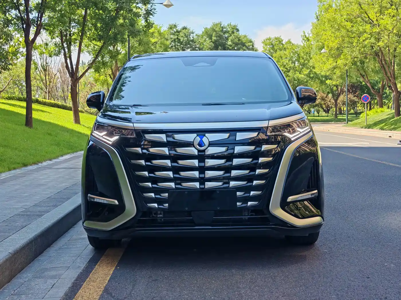 2026 Denza D9