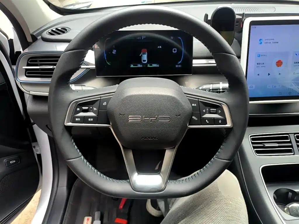 BYD Destroyer 05 2024 Glory Edition DM-i 55KM Luxury фото 11