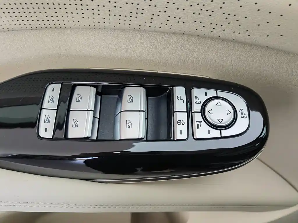 Denza D9 2025 2024 DM-i 1050 Premium