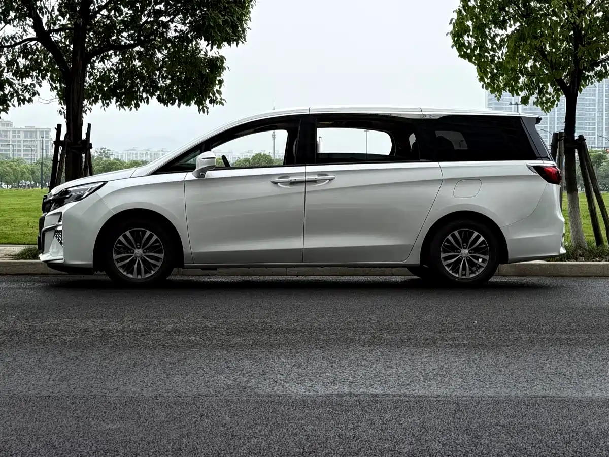 Buick GL8 2021 ES Landlord 653T Premium фото 5
