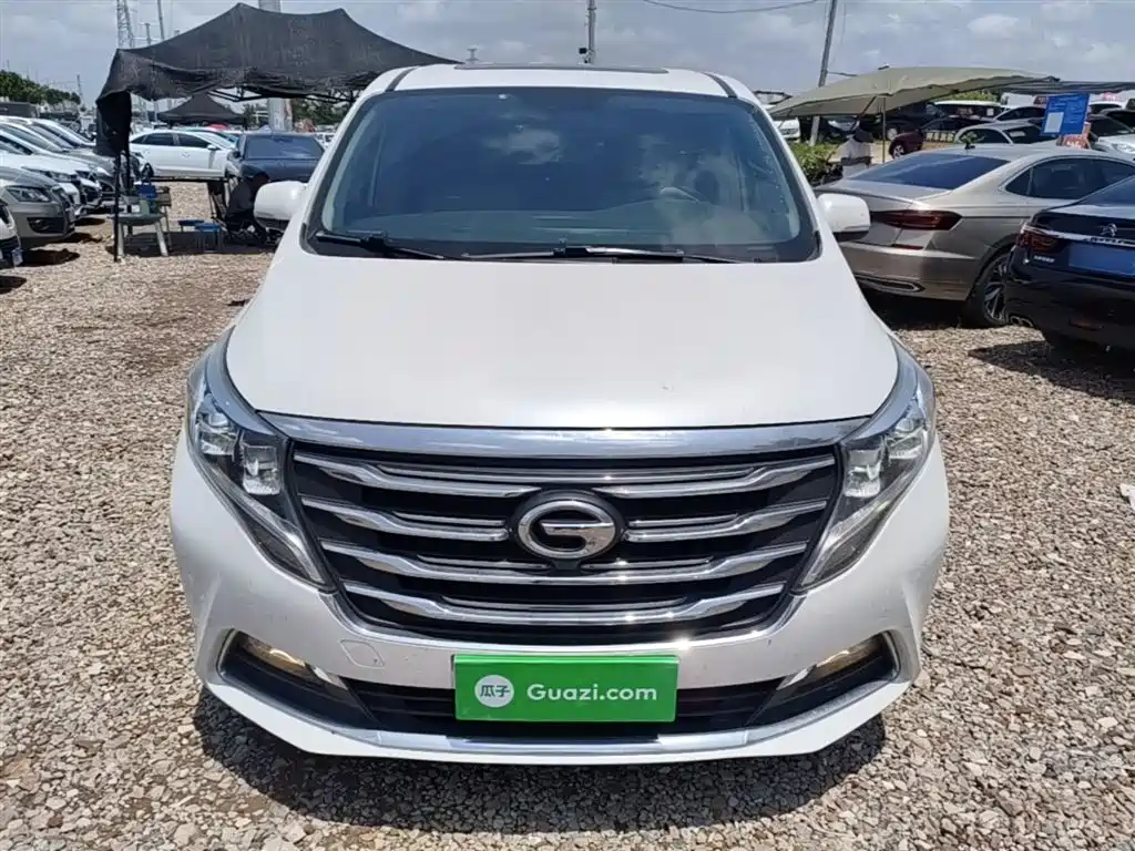 GAC Trumpchi Trumpchi M8 2018 320T Exclusive Edition фото 3