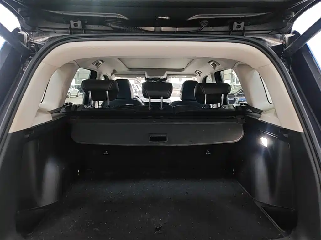 Haval Big Dog 2021 1.5T DCT 2WD Border Collie Edition фото 19
