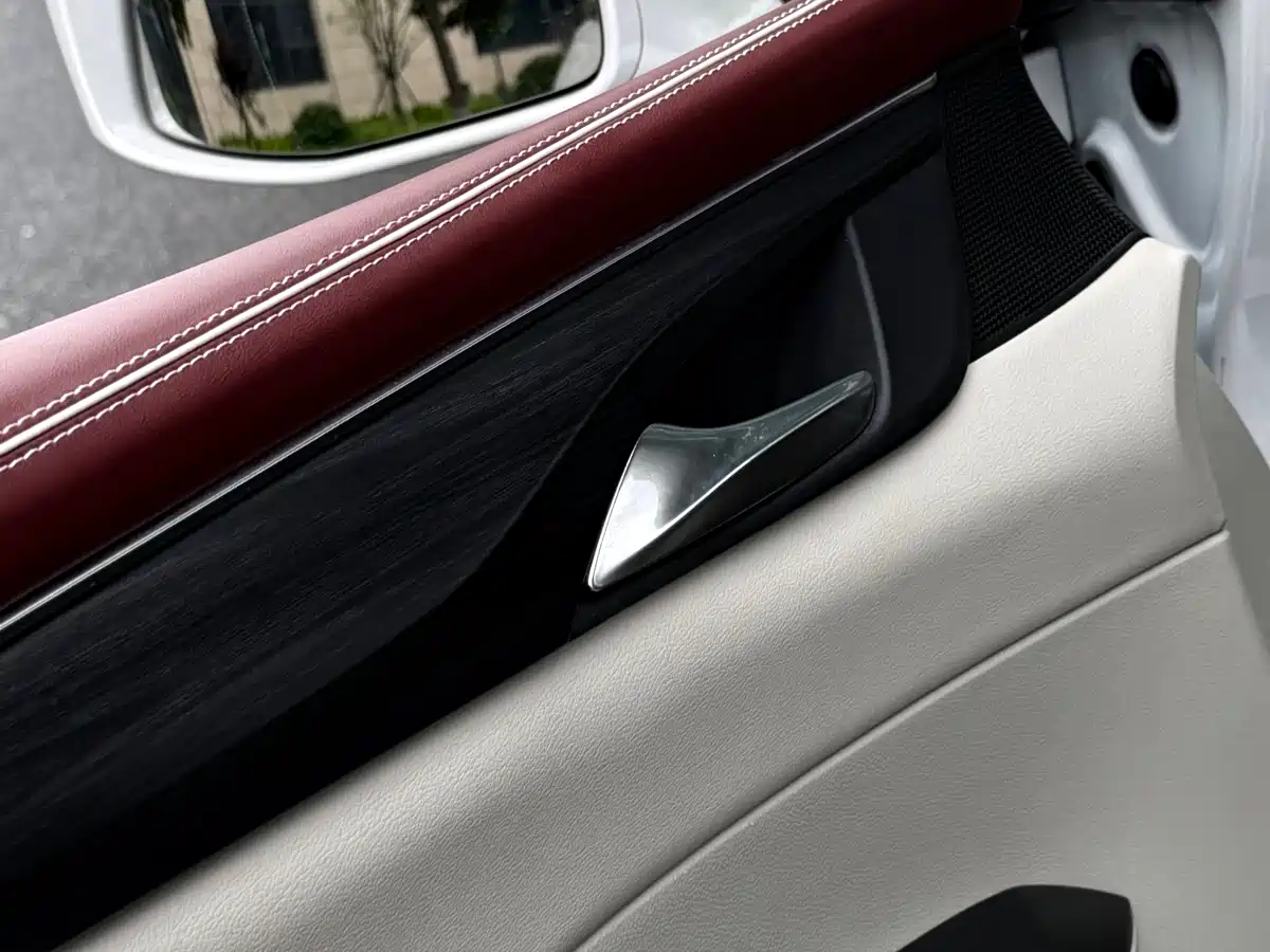 Buick GL8 2021 ES Landlord 653T Premium фото 8