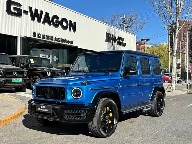 MERCEDES-BENZ G CLASS