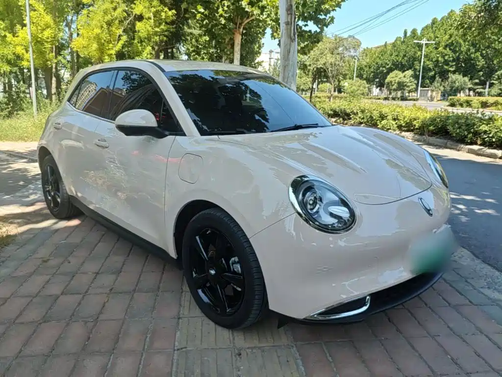 Ora Good Cat 2025 2024 501km Luxury
