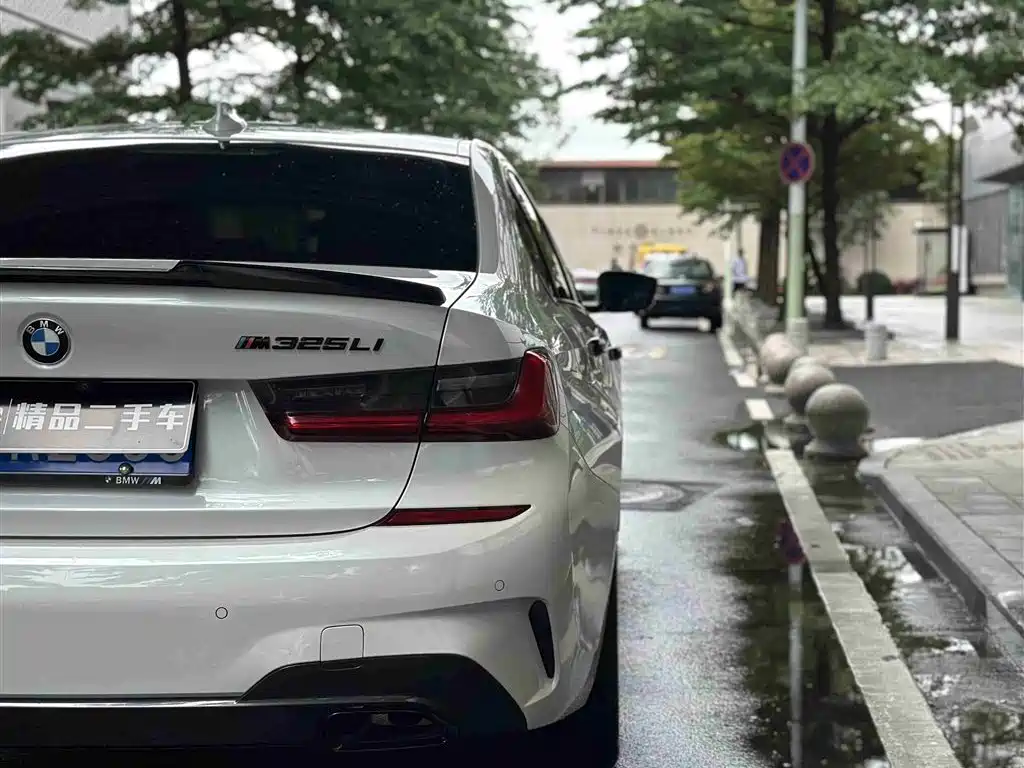 BMW 3 Series 2020 325Li M Sport Black Night Package фото 11