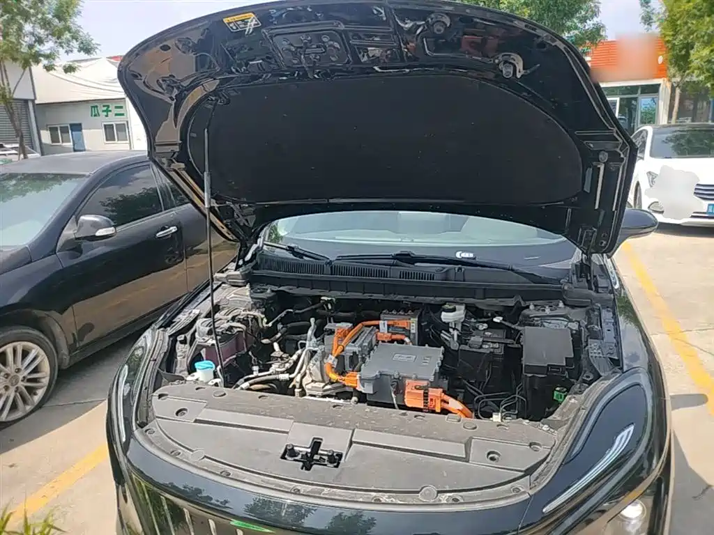 Hongqi E-QM5 2021 Charging T3 Version 5-seater фото 20
