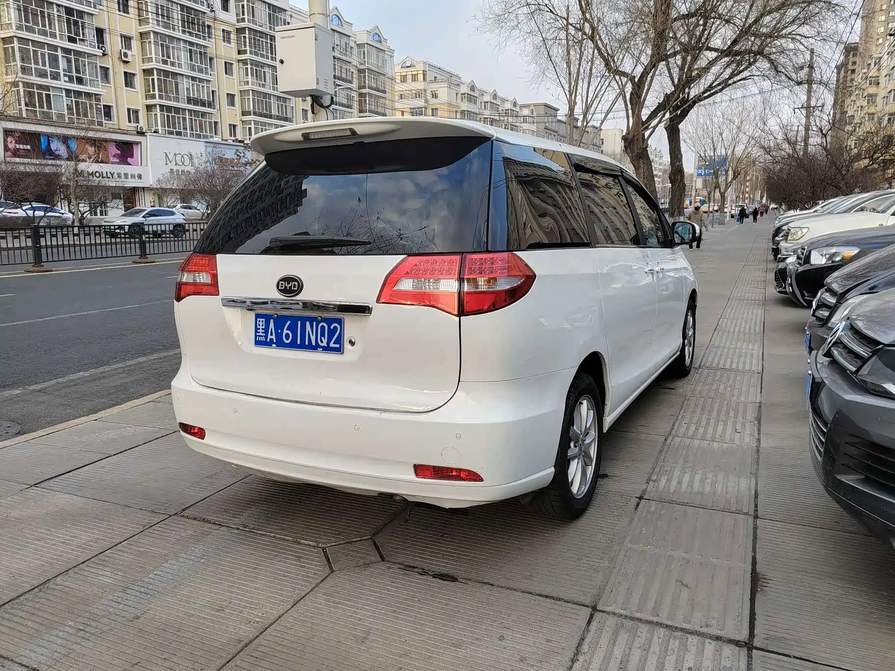 Фото 5 - BYD M6