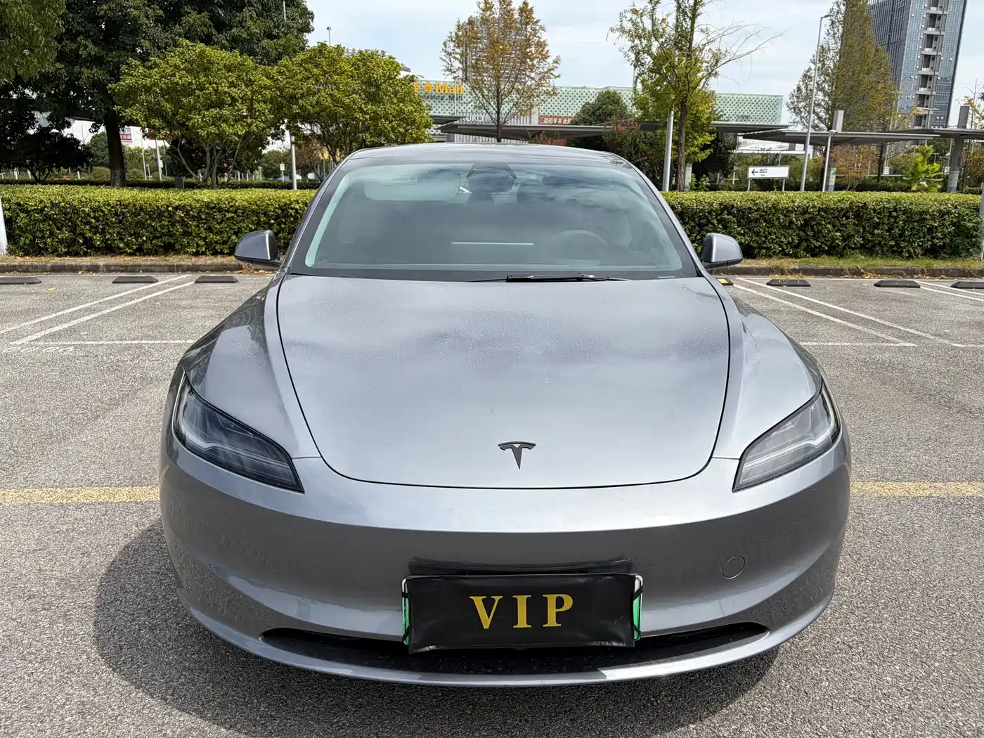 Tesla Model 3 2026 2025 Model Rear-Wheel Drive Edition