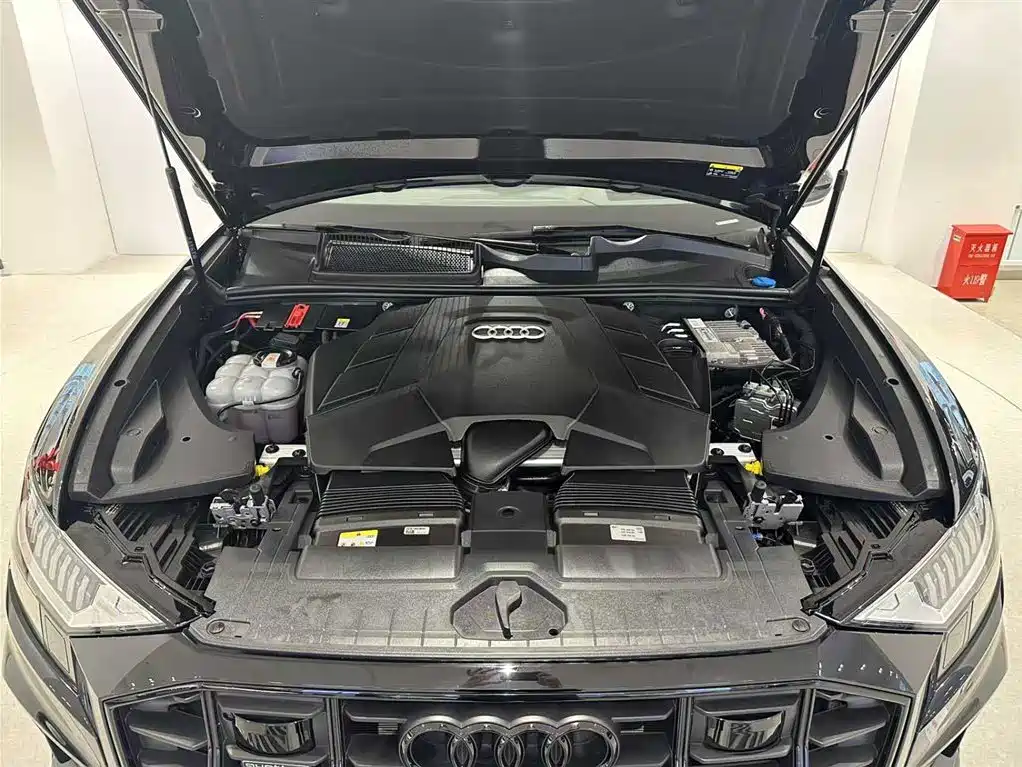 Audi Q8 2023 55 TFSI Premium Sport фото 9