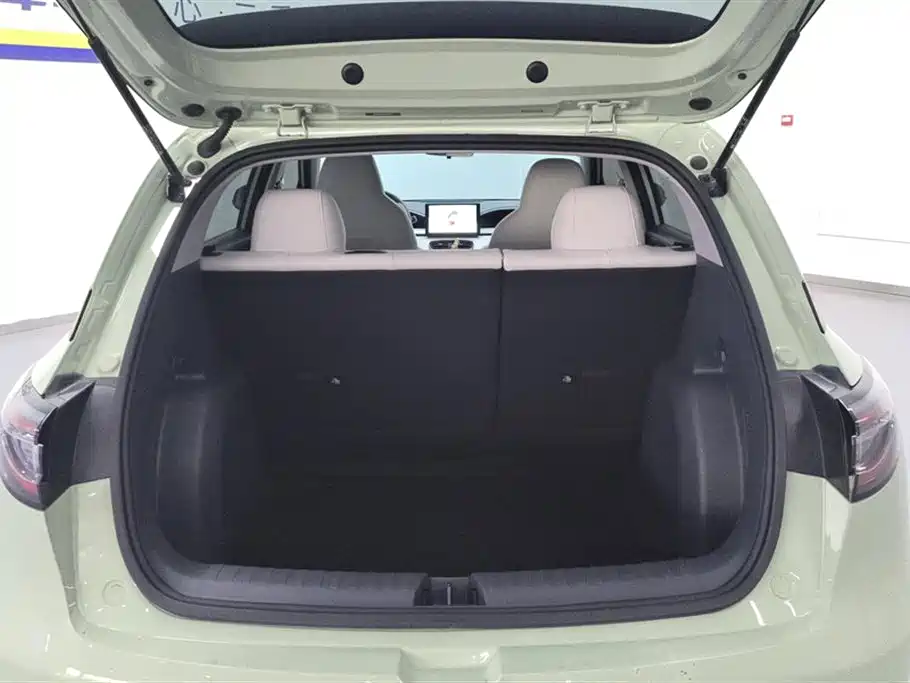 Geely Galaxy Starry Wish 2025 310km Youth Edition фото 4