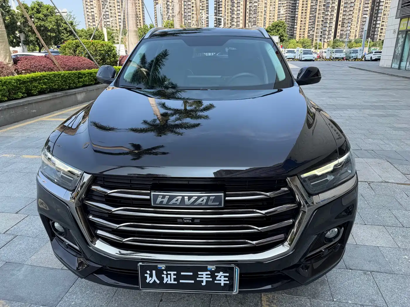 HAVAL H6