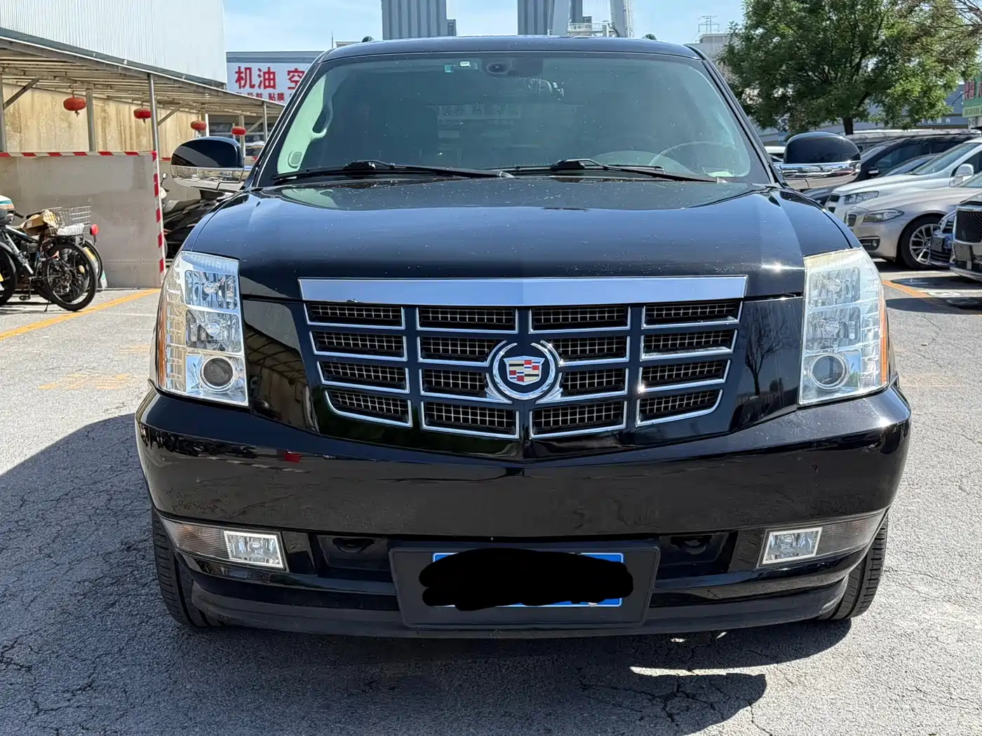 Cadillac Escalade 2010 6.0 Hybrid фото 2